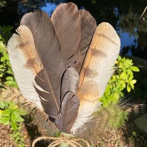 Hand Crafted Feather Fan Art Home Decor Boho New item C